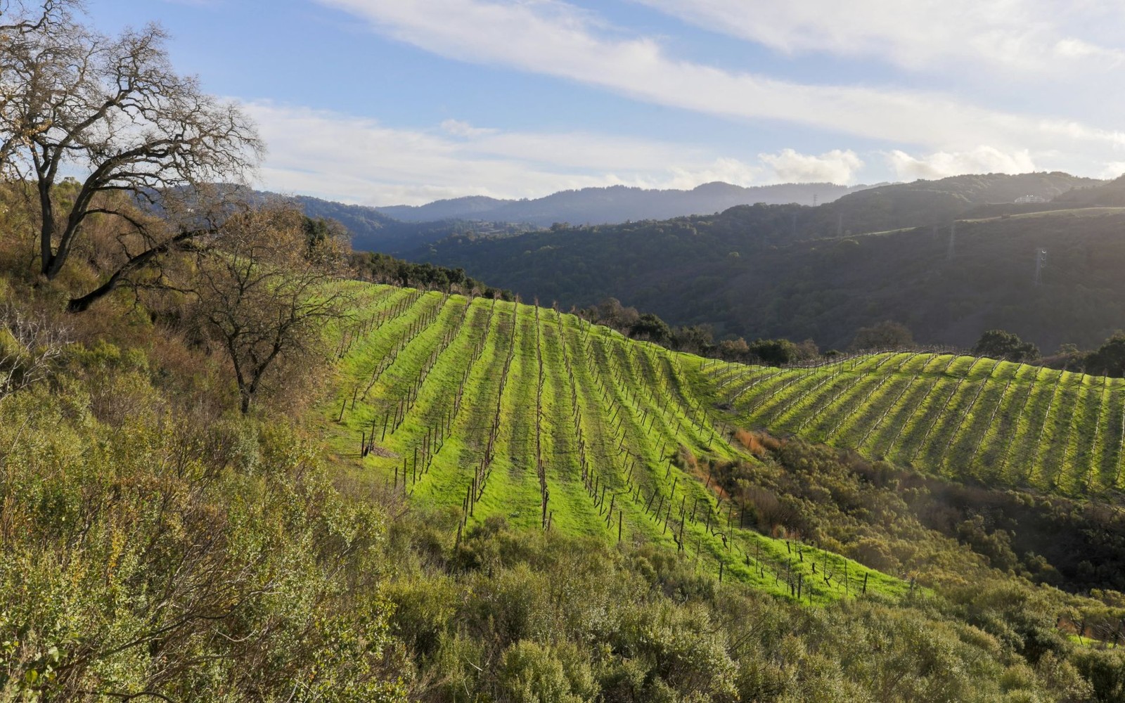 Saratoga, California